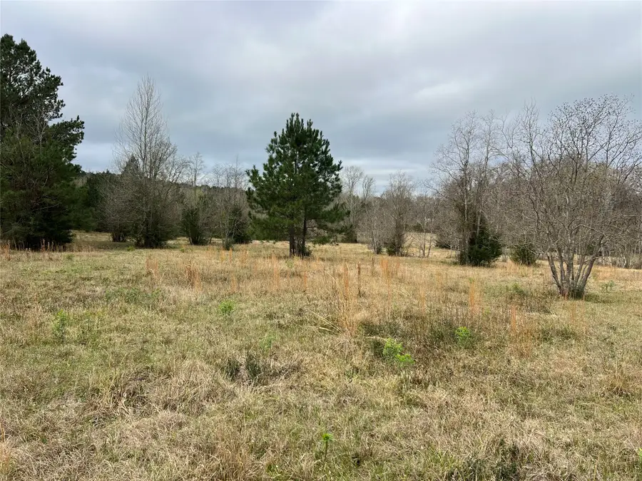 TBD 59 North, Livingston, TX 77351 - #3