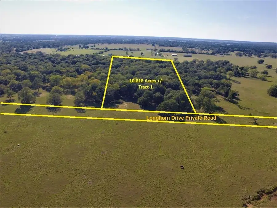 Tract 1 Longhorn Lane, Waller, TX 77484 - #2