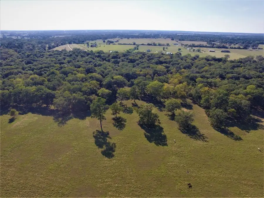 Tract 1 Longhorn Lane, Waller, TX 77484 - #3