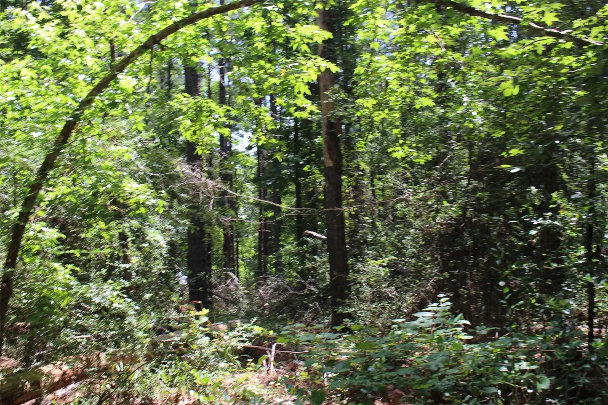 000 Private Road 6050, Crockett, TX 75835 - Image #1