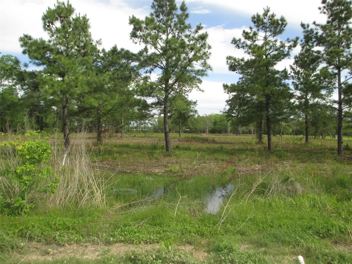 0 Morelos Road, Baytown, TX 77521 - #1