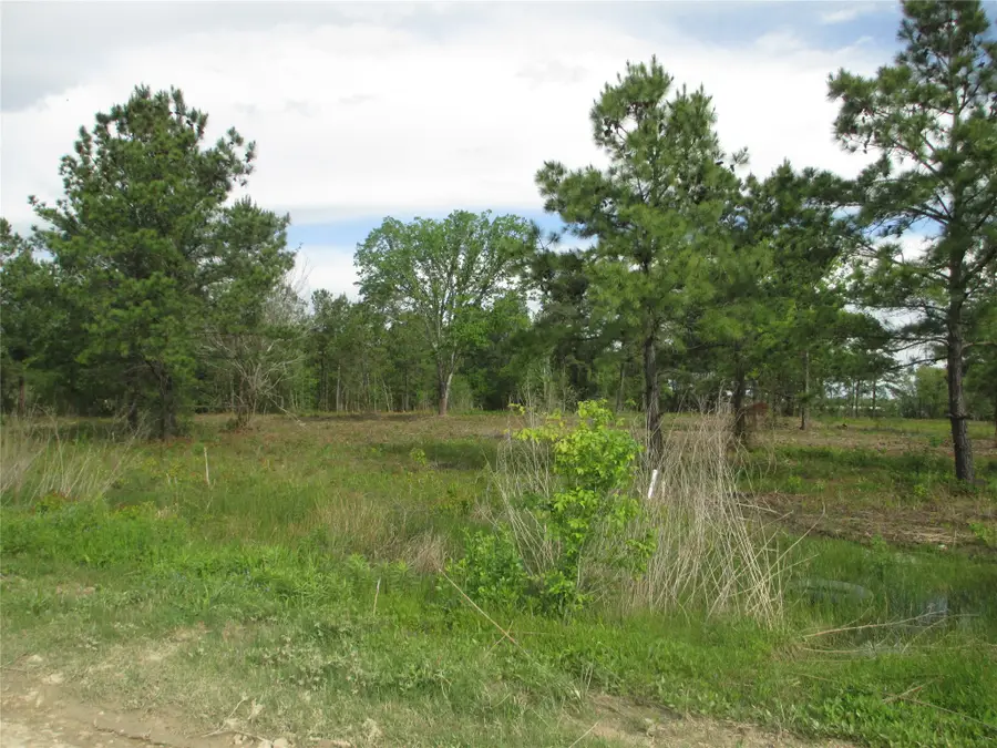 0 Morelos Road, Baytown, TX 77521 - #3