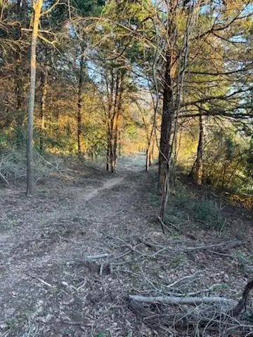 0 521 Fcr, Fairfield, TX 75840 - Image #1