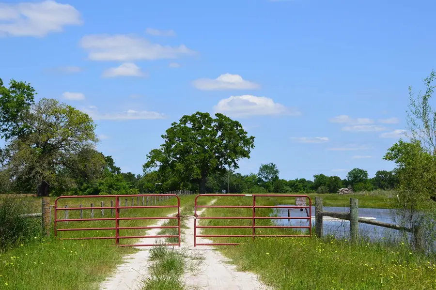 15130 Fm 39 Road, Bedias, TX 77831 - Image #2