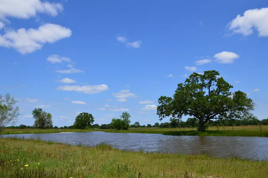 15130 Fm 39 Road, Bedias, TX 77831 - Image #3