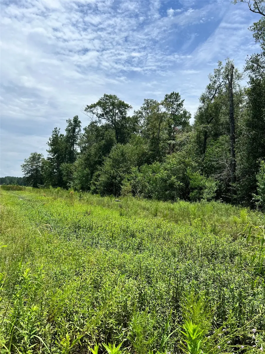 0000 Culberson Street, Cleveland, TX 77327 - Image #3