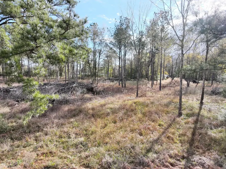 2221 Fm 770 Road N, Liberty, TX 77575 - #2
