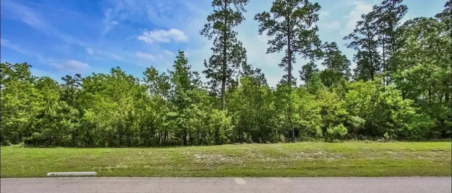 27588 S Lazy Meadow Way, Spring, TX 77386 - #3