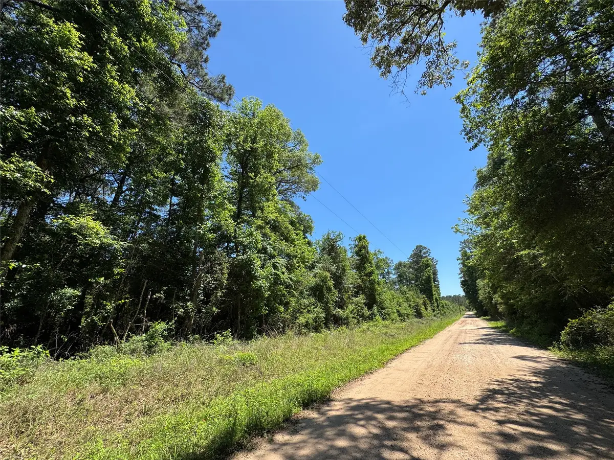 2374 Holly Grove Road, Livingston, TX 77351 - #1