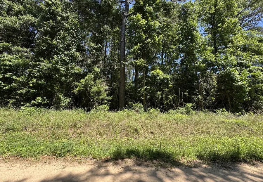 2374 Holly Grove Road, Livingston, TX 77351 - #2