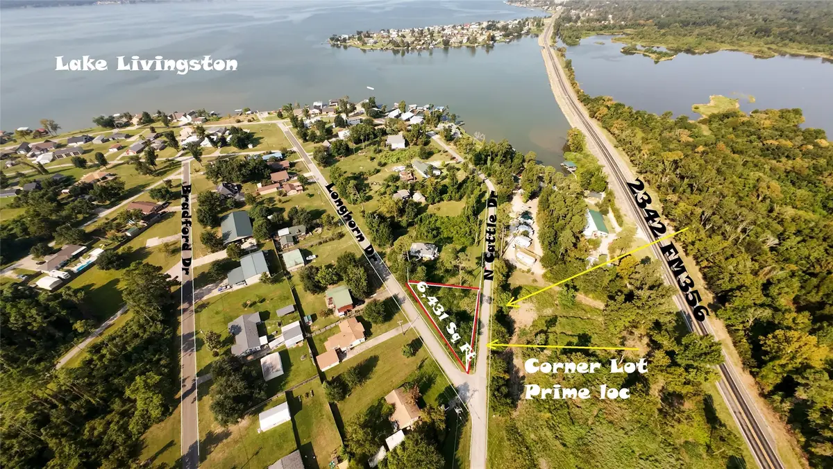 186 N Cattle Drive, Onalaska, TX 77360 - Image #1