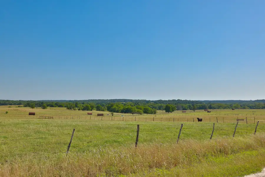 Tract #5 Cr 305 Road, Navasota, TX 77868 - Image #3