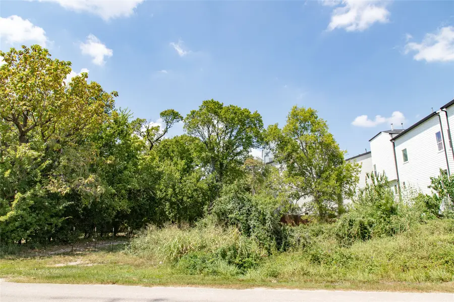 2306 Live Oak Street, Houston, TX 77004 - #3