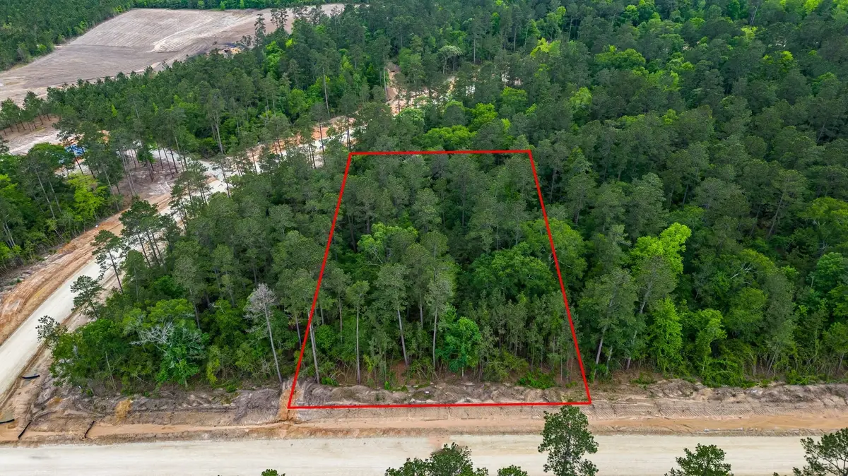 15583 Wood Grove Way, Willis, TX 77378 - #1