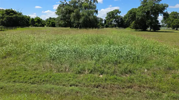 235 Cattle Drive Trail, Angleton, TX 77515