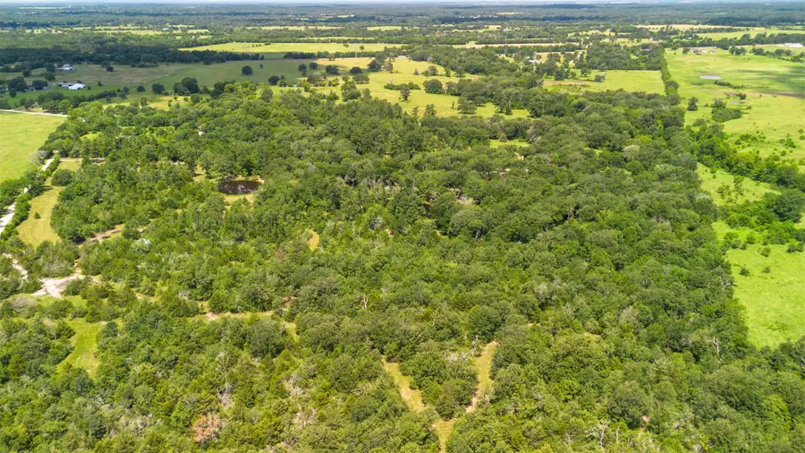 729 Center Hill Cemetery Road, Crockett, TX 75835 - Image #2