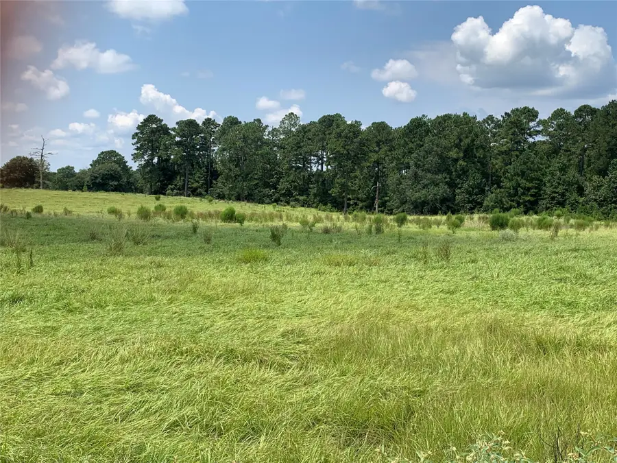 lot 276 Lakeland Dr, Hillister, TX 77624 - Image #2