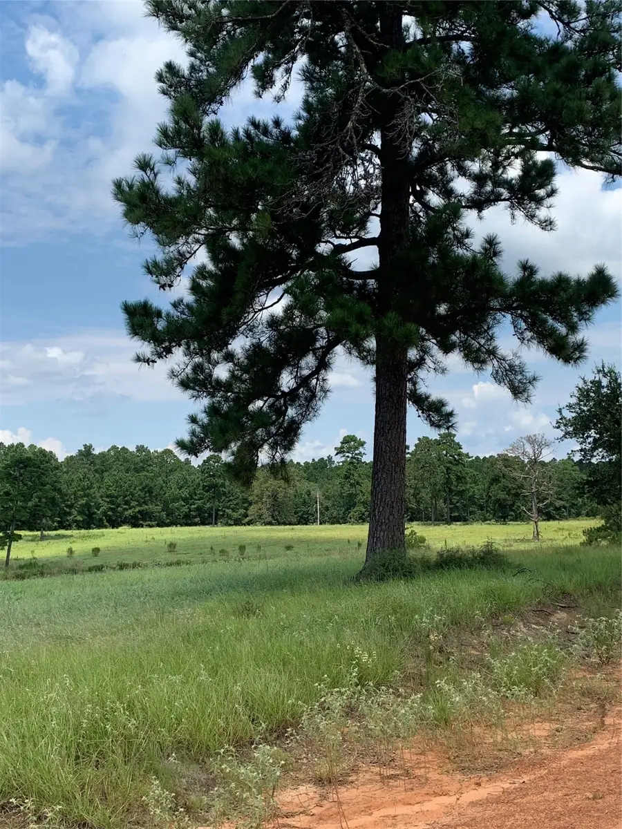 lot 276 Lakeland Dr, Hillister, TX 77624 - Image #3