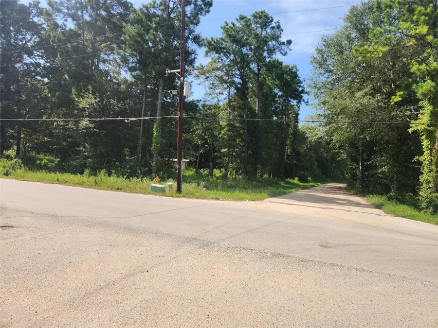 19094 Norfolk, New Caney, TX 77357 - Image #2