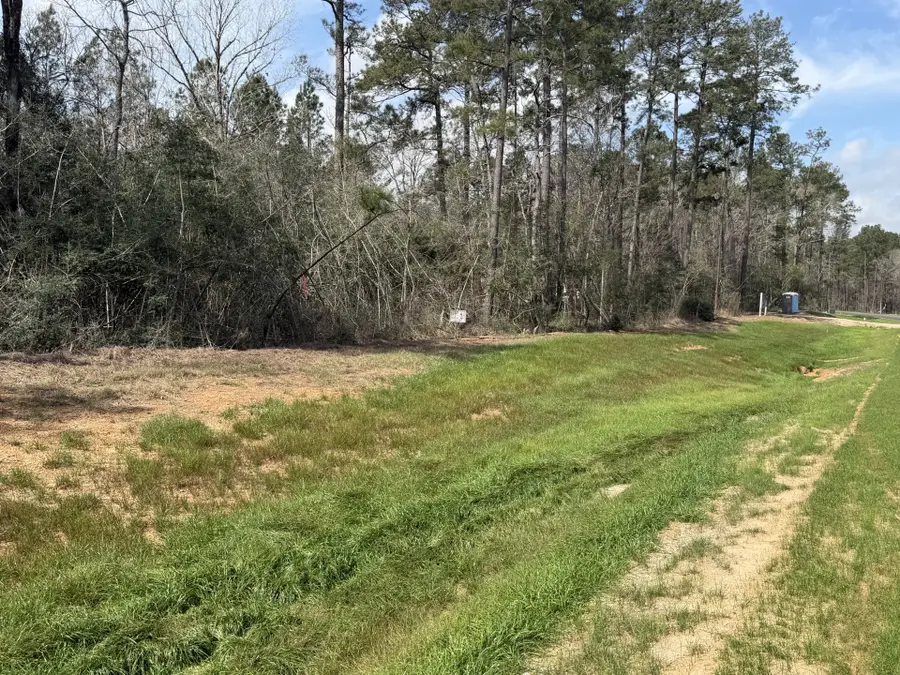 11792 Inspiration Drive, Willis, TX 77378 - #2