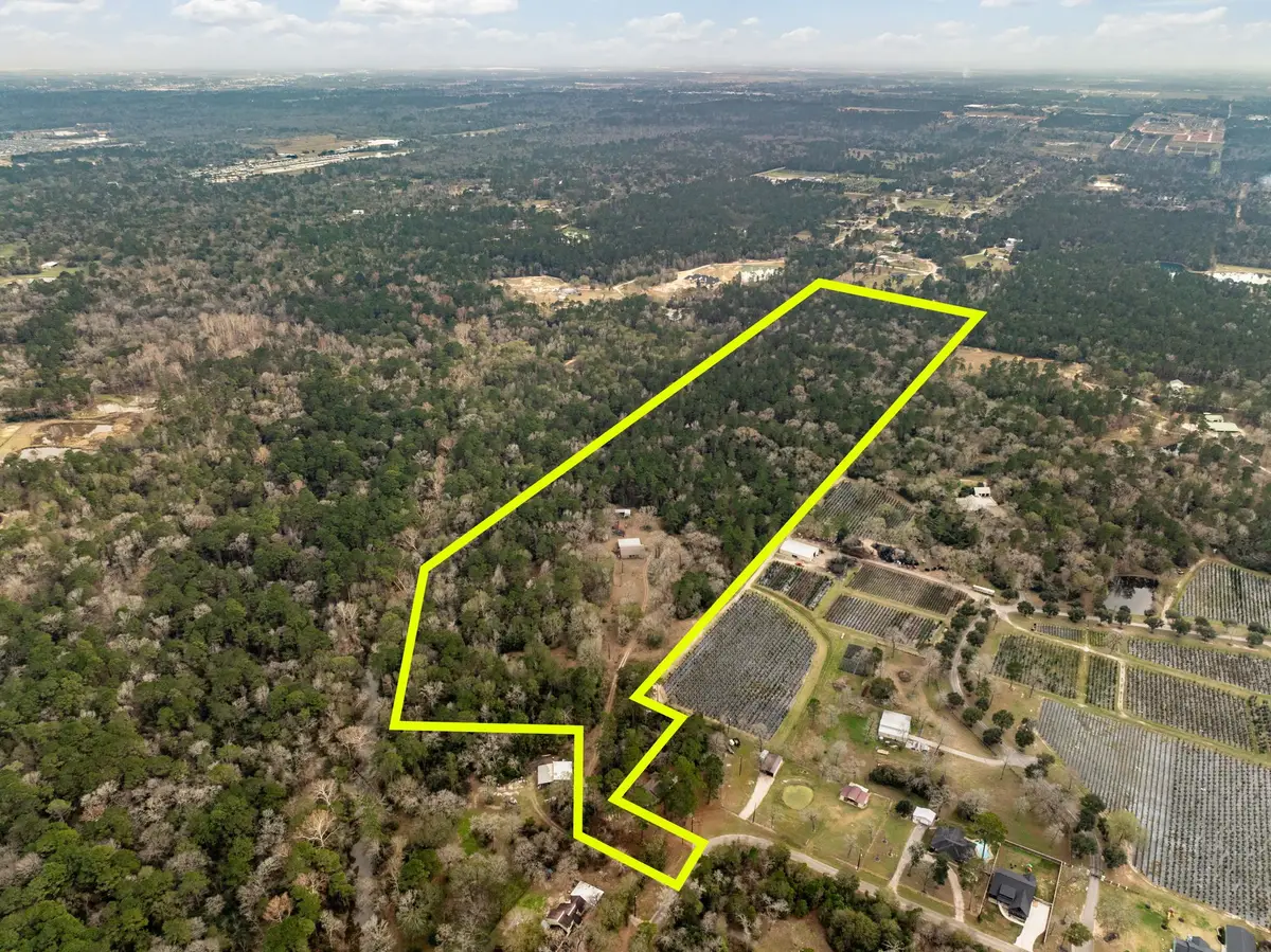 15547 Knotty Oaks Trail, Magnolia, TX 77355 - Image #1