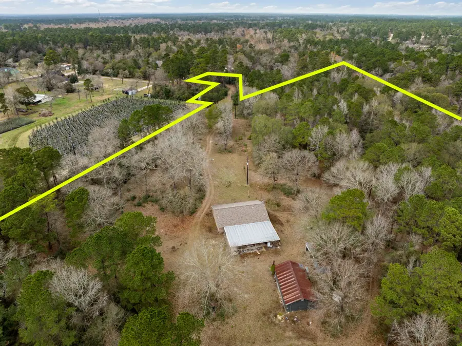 15547 Knotty Oaks Trail, Magnolia, TX 77355 - Image #3