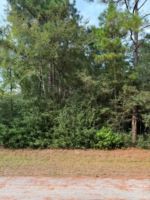 0 Tbd Little John Circle, Hockley, TX 77447 - #1