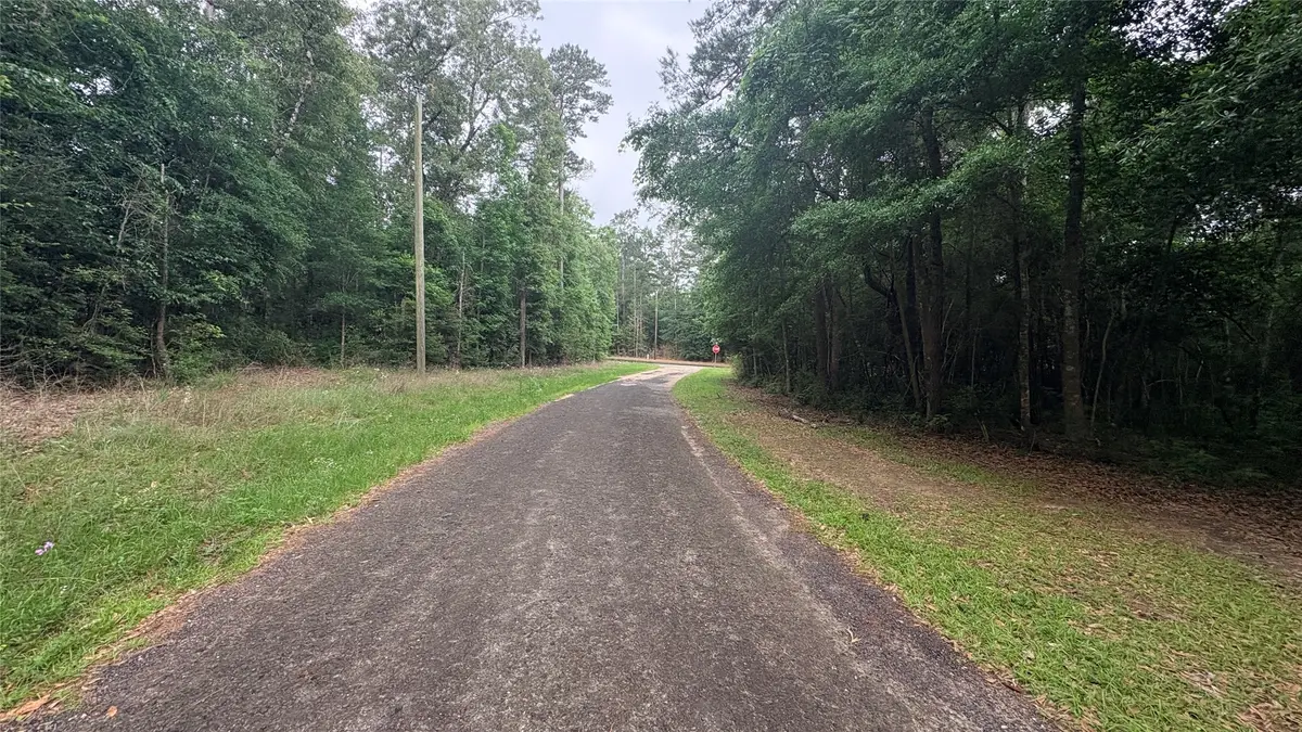 Lot 19&20 Perdilot Drive, Ivanhoe, TX 75979 - #1