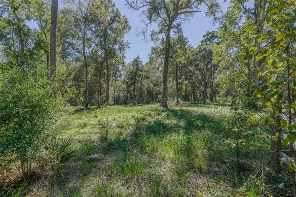 00 Mustang Drive Drive, Splendora, TX 77372