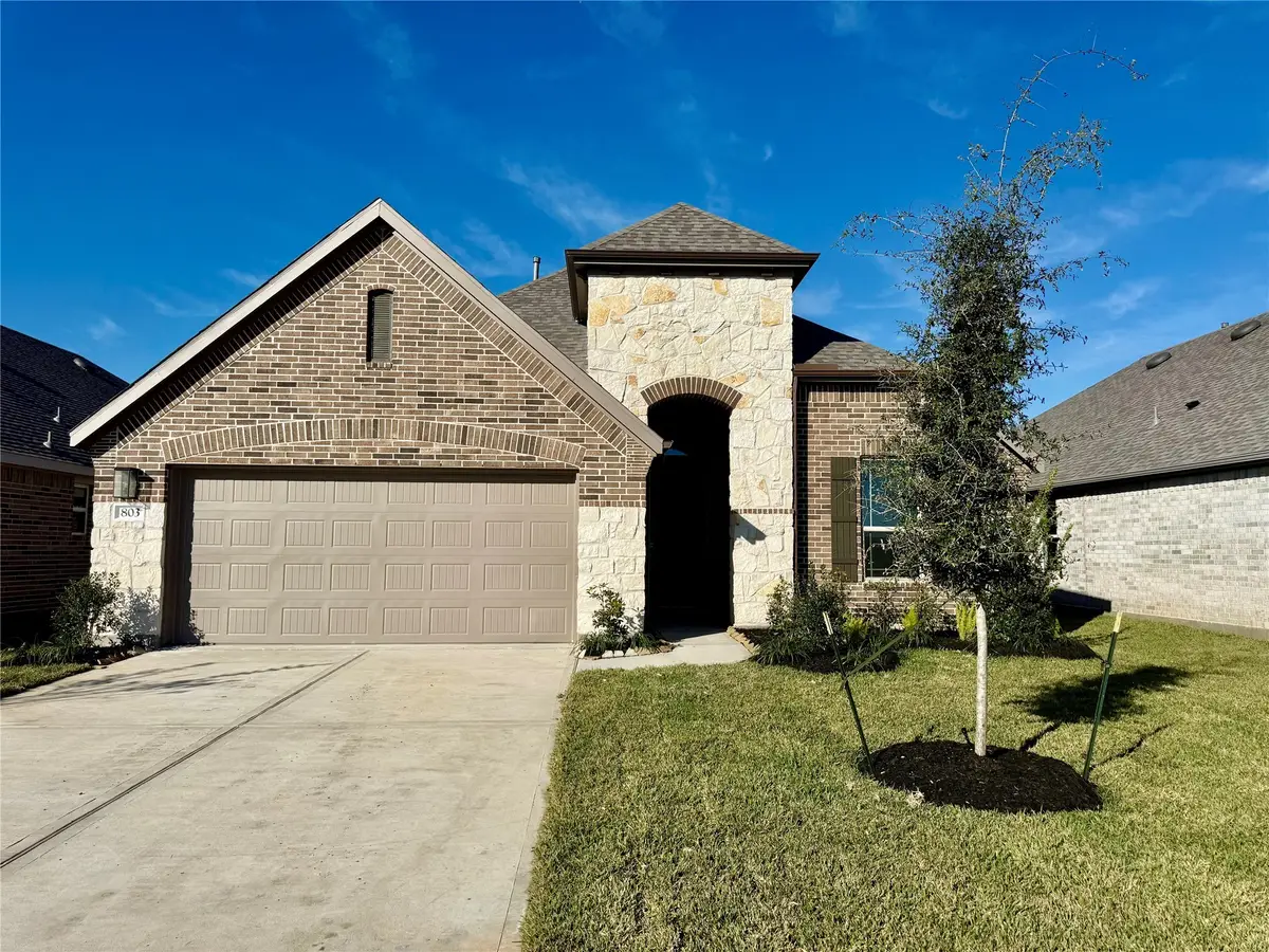 803 Evergreen Forest Lane, Rosharon, TX 77583 - Image #1
