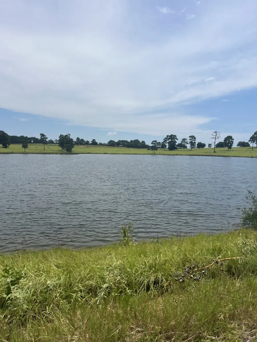 230 Evergreen Trail, Hillister, TX 77624 - Image #2