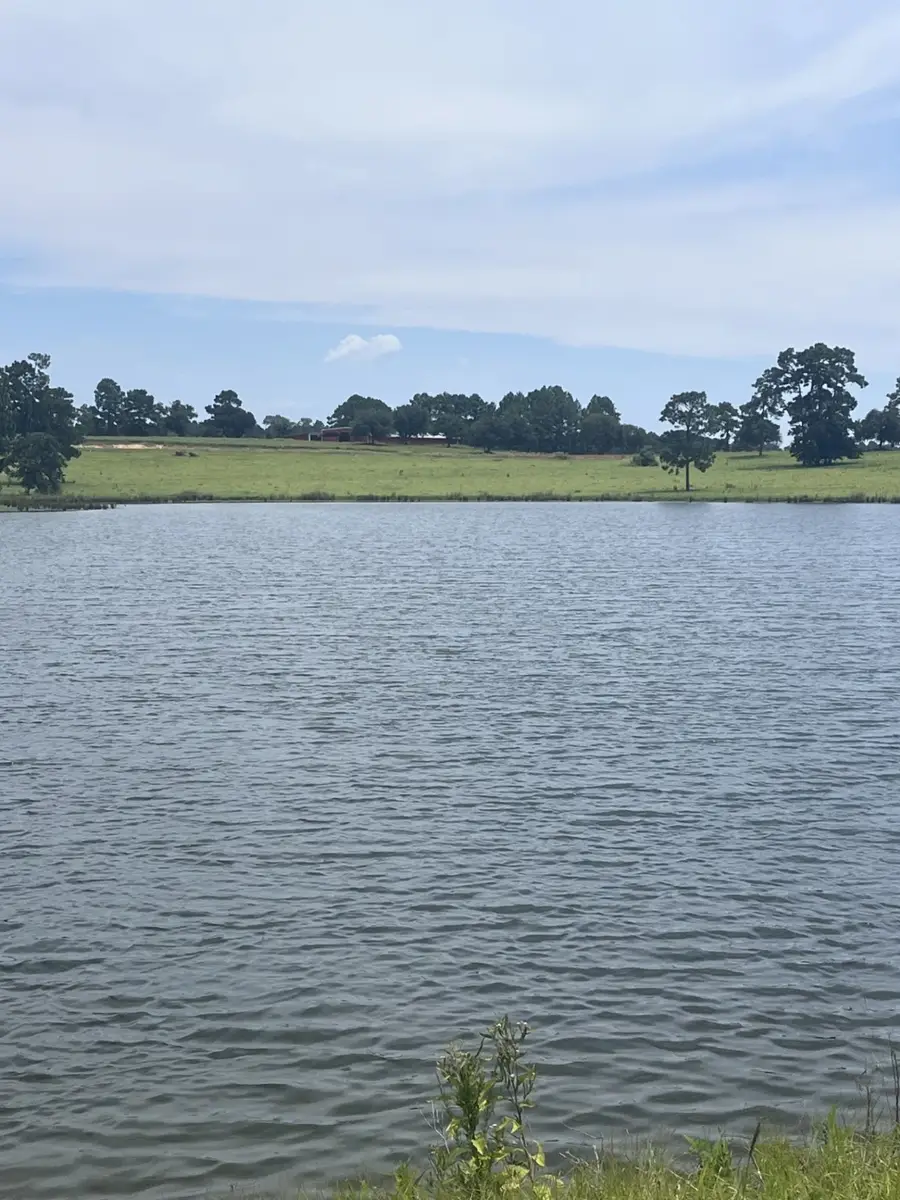 230 Evergreen Trail, Hillister, TX 77624 - Image #3