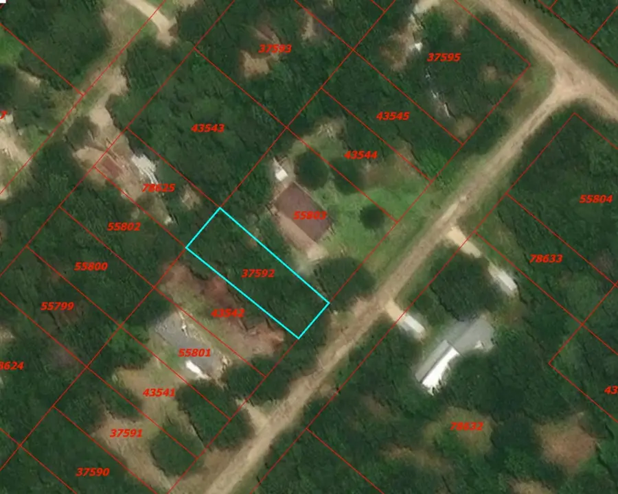 0 Rosemary Lane, Livingston, TX 77351 - #3