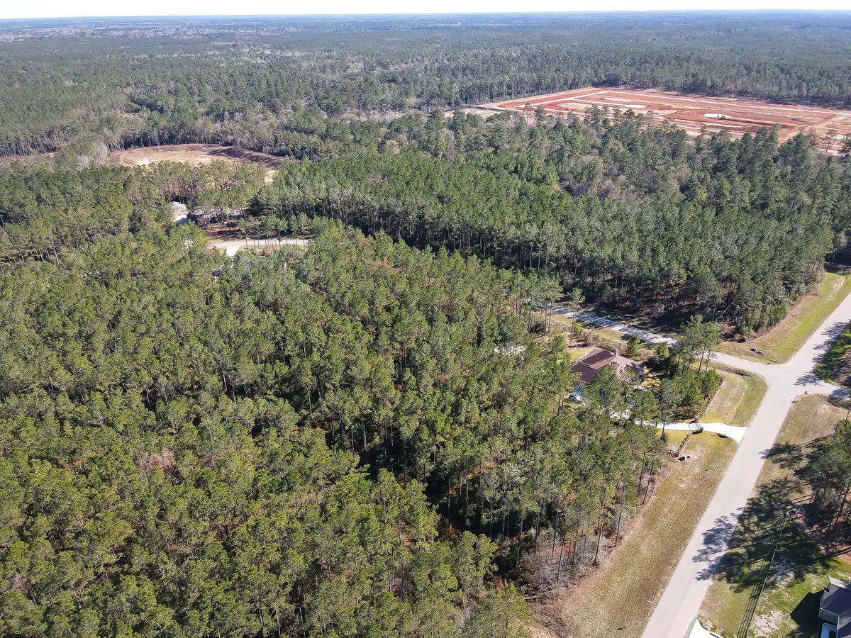 15688 Wooded Trail Way, Willis, TX 77378 - Image #1