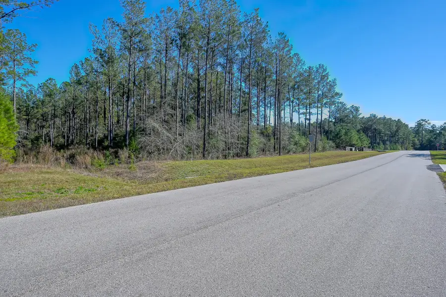 15688 Wooded Trail Way, Willis, TX 77378 - Image #2