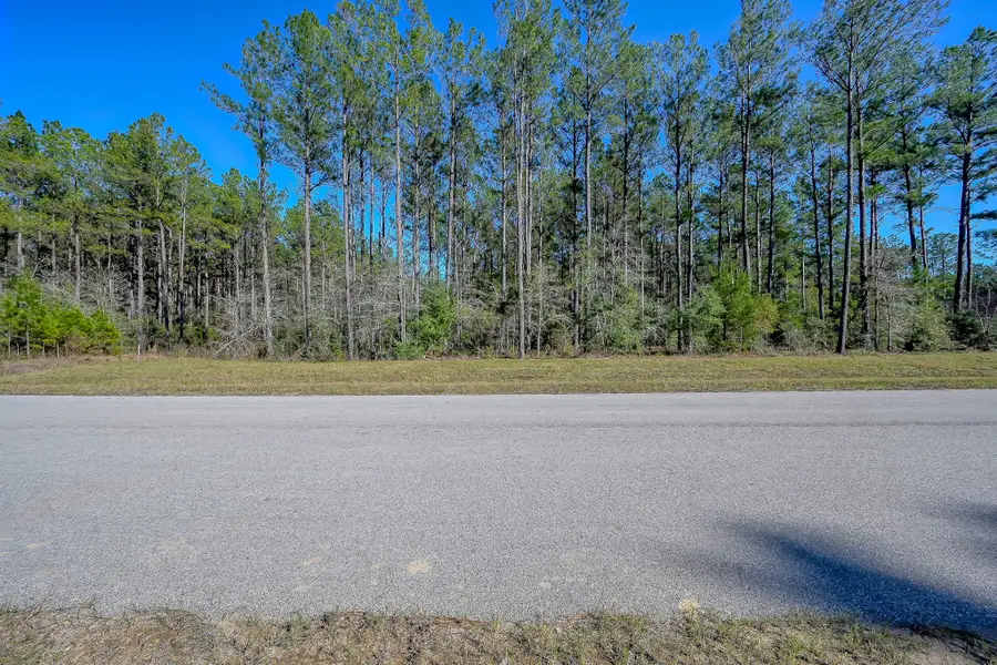 15688 Wooded Trail Way, Willis, TX 77378 - Image #3