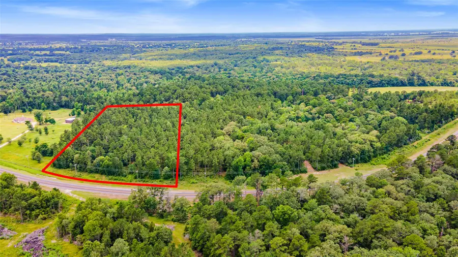 00 Fm 230, Trinity, TX 75862 - #2