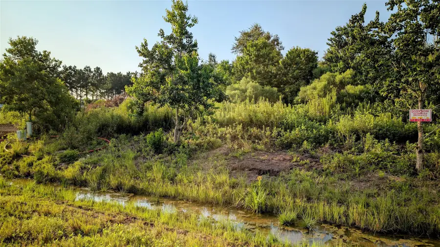 597 Road 5516, Cleveland, TX 77327 - #3