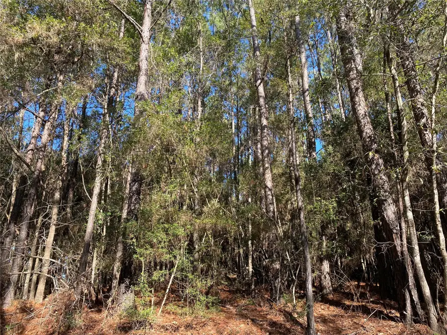 6442 Fm-3065, Colmesneil, TX 75938 - Image #3