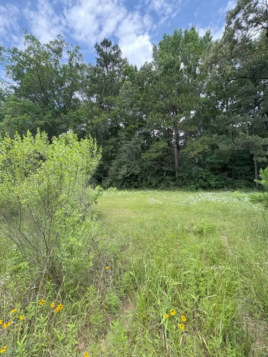 TBD County Road 425, Tenaha, TX 75974 - #2