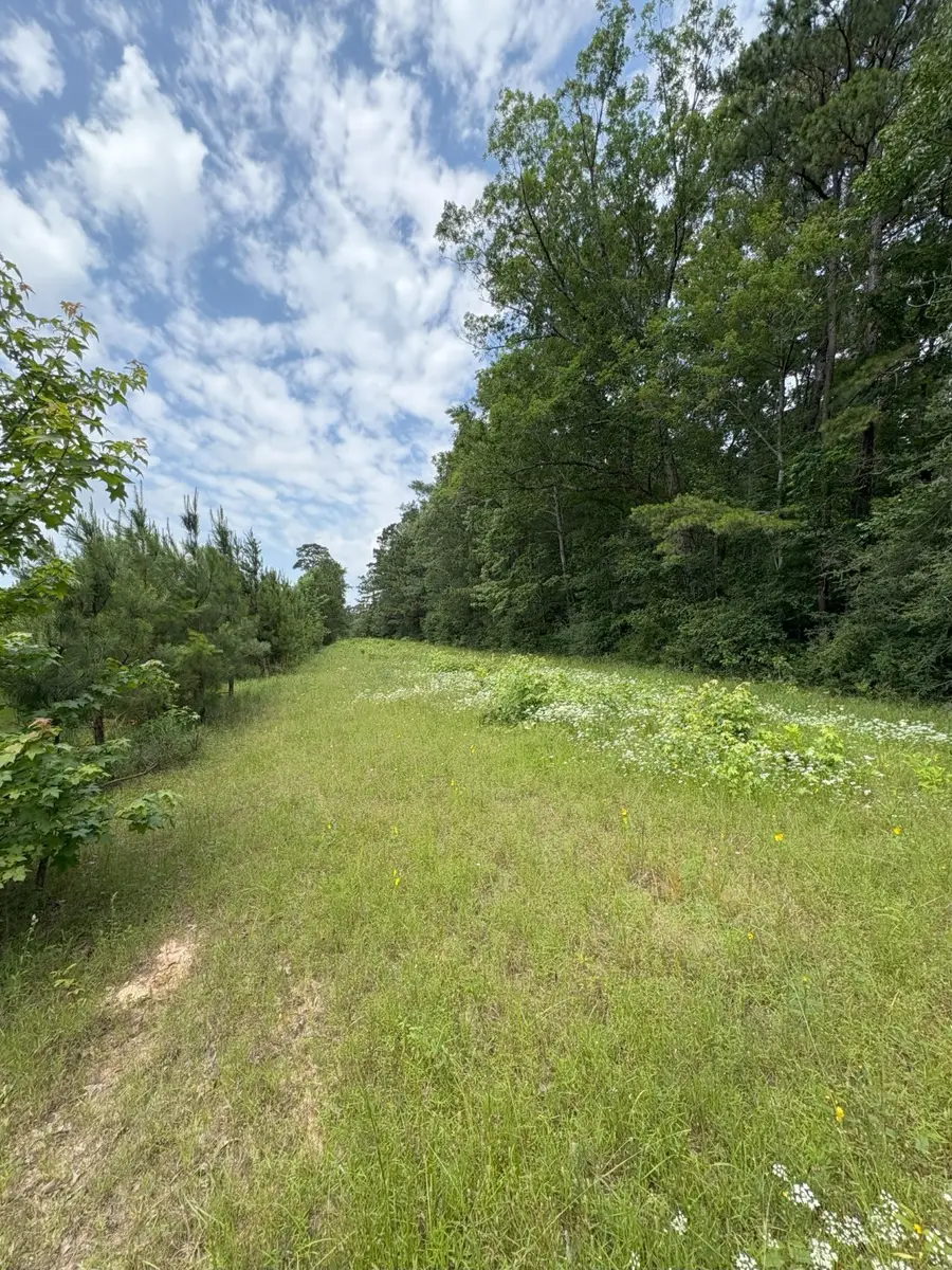 TBD County Road 425, Tenaha, TX 75974 - #3