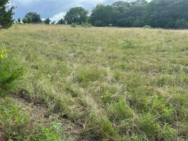 0000 Langdon Road And Fm 1579, Schulenburg, TX 78956
