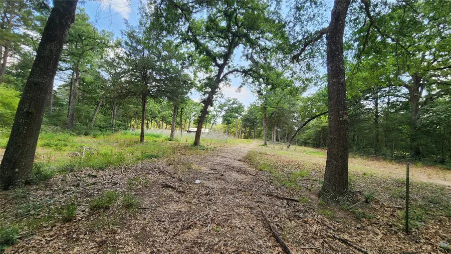 1286 Oil Patch Road, New Ulm, TX 78950 - Image #2