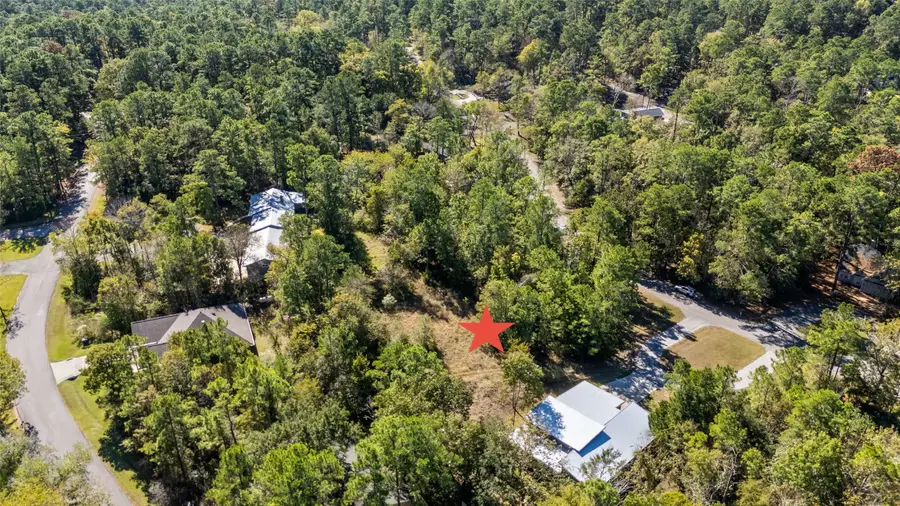 26 N Royale Greens Drive, Coldspring, TX 77331 - Image #3