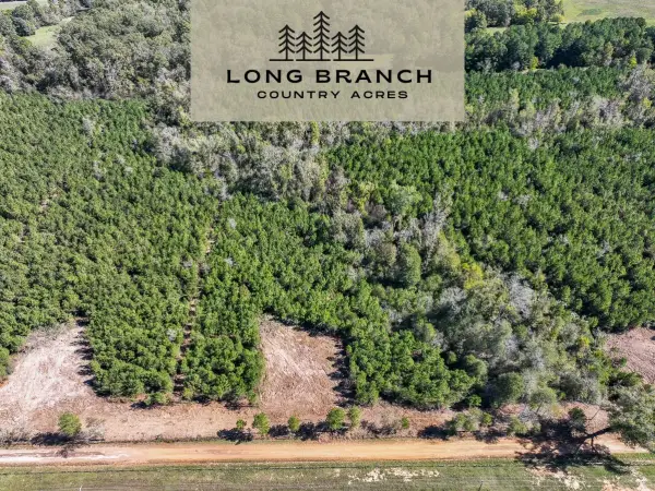 5 County Road 3121, Long Branch, TX 75669