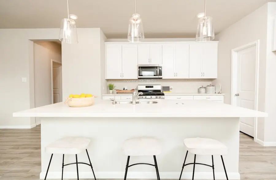 204 Orchard Laurel Drive, Alvin, TX 77511 - Image #2