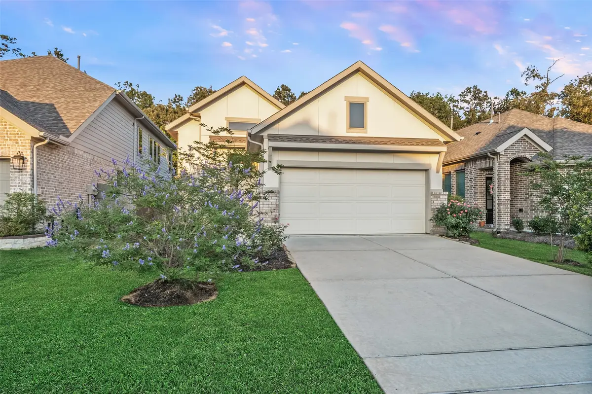 17435 Vino Vines Lane, Conroe, TX 77302 - #1
