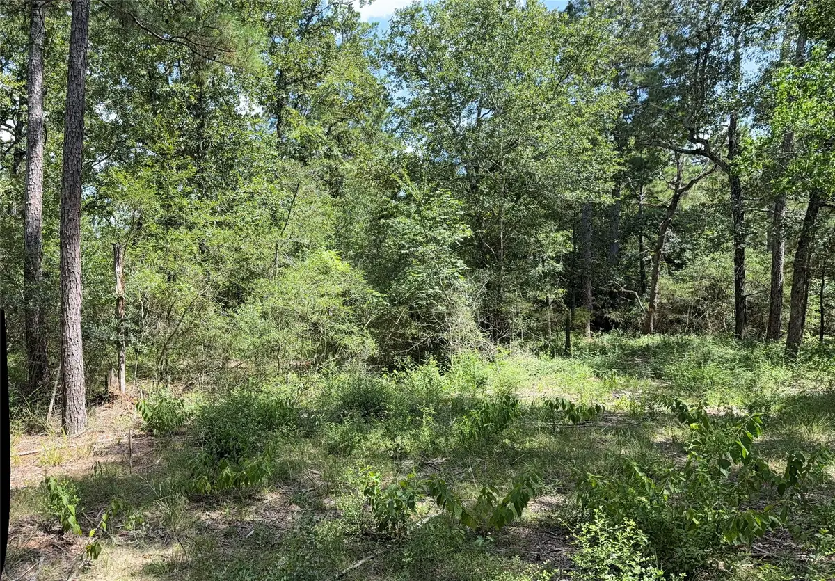 24805 Nottingham Circle, Hockley, TX 77447 - #1
