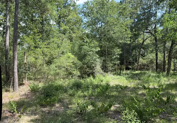 24805 Nottingham Circle, Hockley, TX 77447