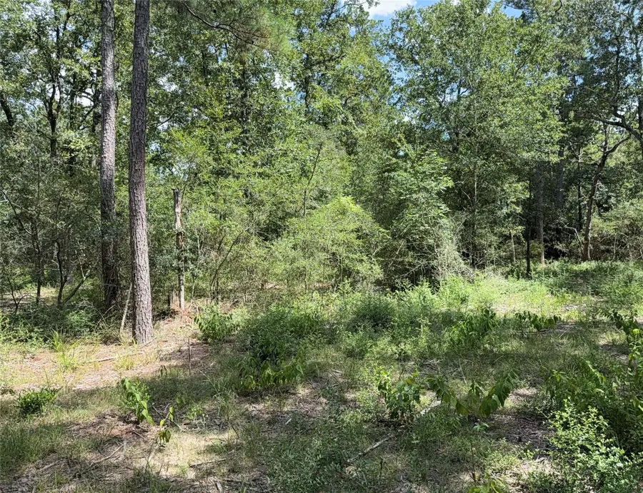 24805 Nottingham Circle, Hockley, TX 77447 - #2